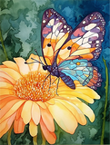 Schmetterling 5d Diy Diamond Painting Diamant Malerei Set MJ1568