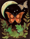 Schmetterling 5d Diy Diamond Painting Diamant Malerei Set MJ1571
