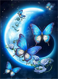 Schmetterling 5d Diy Diamond Painting Diamant Malerei Set MJ1572