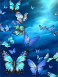 Schmetterling 5d Diy Diamond Painting Diamant Malerei Set MJ1575