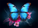 Schmetterling 5d Diy Diamond Painting Diamant Malerei Set MJ1582