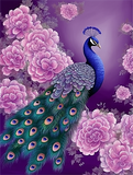 Pfau 5d Diy Diamond Painting Diamant Malerei Set MJ1605