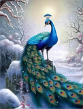 Pfau 5d Diy Diamond Painting Diamant Malerei Set MJ1606