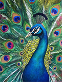 Pfau 5d Diy Diamond Painting Diamant Malerei Set MJ1621