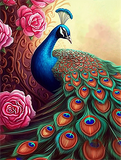 Pfau 5d Diy Diamond Painting Diamant Malerei Set MJ1622