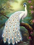 Pfau 5d Diy Diamond Painting Diamant Malerei Set MJ1630