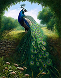 Pfau 5d Diy Diamond Painting Diamant Malerei Set MJ1631