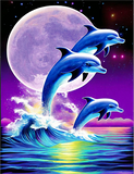 Delphin 5d Diy Diamond Painting Diamant Malerei Set MJ1746