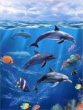 Delphin 5d Diy Diamond Painting Diamant Malerei Set MJ1750