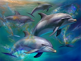 Delphin 5d Diy Diamond Painting Diamant Malerei Set MJ1766