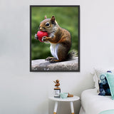 Eichhörnchen 5d Diy Diamond Painting Diamant Malerei Set MJ1873