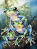 Frosch 5d Diy Diamond Painting Diamant Malerei Set MJ1938