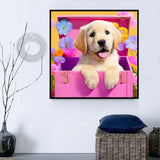 Hund 5d Diy Diamond Painting Diamant Malerei Set MJ9021