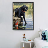 Hund 5d Diy Diamond Painting Diamant Malerei Set MJ9063