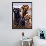 Hund 5d Diy Diamond Painting Diamant Malerei Set MJ9064