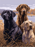 Hund 5d Diy Diamond Painting Diamant Malerei Set MJ9064