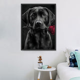 Hund 5d Diy Diamond Painting Diamant Malerei Set MJ9071