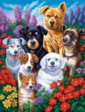 Hund 5d Diy Diamond Painting Diamant Malerei Set MJ9095