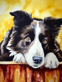 Hund 5d Diy Diamond Painting Diamant Malerei Set MJ9100
