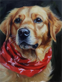 Hund 5d Diy Diamond Painting Diamant Malerei Set MJ9120