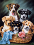 Hund 5d Diy Diamond Painting Diamant Malerei Set MJ9141
