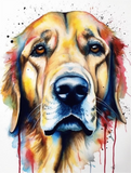 Hund 5d Diy Diamond Painting Diamant Malerei Set MJ9168