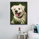 Hund 5d Diy Diamond Painting Diamant Malerei Set MJ9169