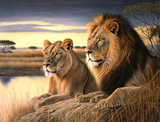 Löwe 5d Diy Diamond Painting Diamant Malerei Set MJ9206
