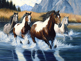Pferd 5d Diy Diamond Painting Diamant Malerei Set MJ9367