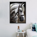 Pferd 5d Diy Diamond Painting Diamant Malerei Set MJ9393