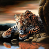 Leopard 5d Diy Diamond Painting Diamant Malerei Set MJ9418