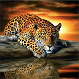 Leopard 5d Diy Diamond Painting Diamant Malerei Set MJ9419
