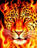 Leopard 5d Diy Diamond Painting Diamant Malerei Set MJ9437