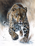 Leopard 5d Diy Diamond Painting Diamant Malerei Set MJ9458