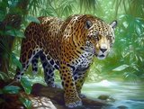 Leopard 5d Diy Diamond Painting Diamant Malerei Set MJ9470