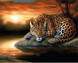 Leopard 5d Diy Diamond Painting Diamant Malerei Set MJ9472