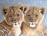 Leopard 5d Diy Diamond Painting Diamant Malerei Set MJ9475