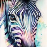 Zebra 5d Diy Diamond Painting Diamant Malerei Set MJ9479