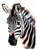 Zebra 5d Diy Diamond Painting Diamant Malerei Set MJ9493