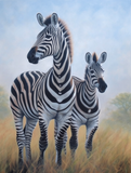 Zebra 5d Diy Diamond Painting Diamant Malerei Set MJ9497