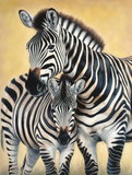Zebra 5d Diy Diamond Painting Diamant Malerei Set MJ9498