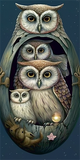 Eule 5d Diy Diamond Painting Diamant Malerei Set MJ9749