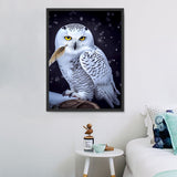 Eule 5d Diy Diamond Painting Diamant Malerei Set MJ9795