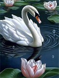 Schwan 5d Diy Diamond Painting Diamant Malerei Set MJ9884