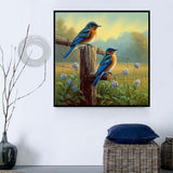 Vogel 5d Diy Diamond Painting Diamant Malerei Set MJ9898