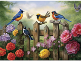 Vogel 5d Diy Diamond Painting Diamant Malerei Set MJ9984