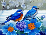 Vogel 5d Diy Diamond Painting Diamant Malerei Set MJ9989