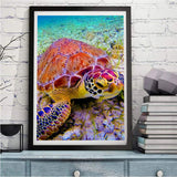 Schildkröte 5D Diamond Painting /Diamant Malerei Set NA0894