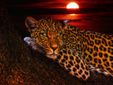 Leopard 5d Diy Diamond Painting Diamant Malerei Set PX1230855