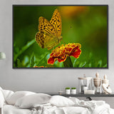 Schmetterling 5d Diy Diamond Painting Diamant Malerei Set PX1829404